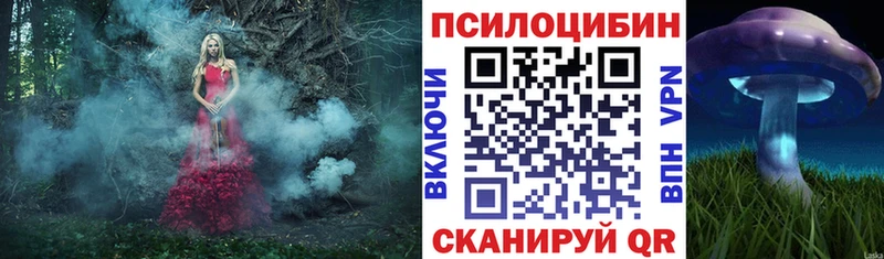 Галлюциногенные грибы MAGIC MUSHROOMS Грязи